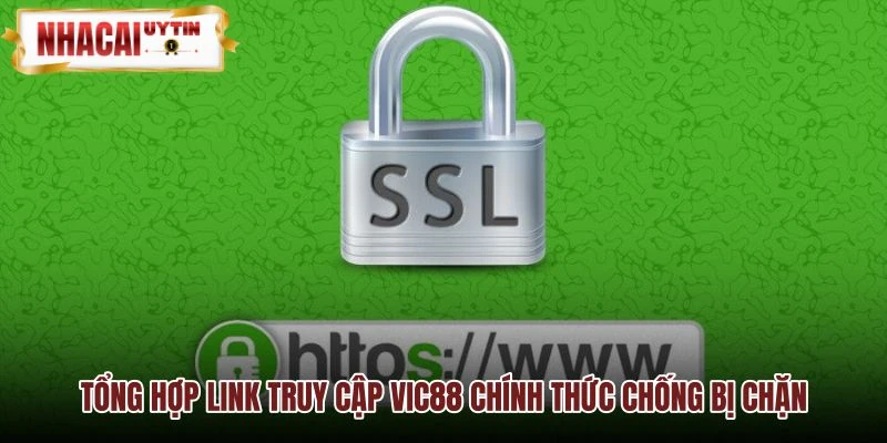 Đường dẫn truy cập (Link VIP)