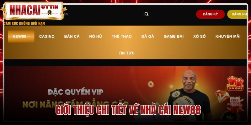 Giấy phép PAGCOR quốc tế cùng chứng nhận bảo mật New88